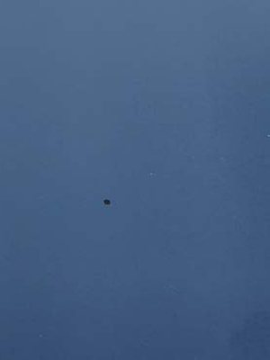 R0078 Blue Solid — Resysta finish