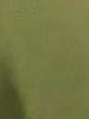 R0130 Olive Metallic — Resysta finish